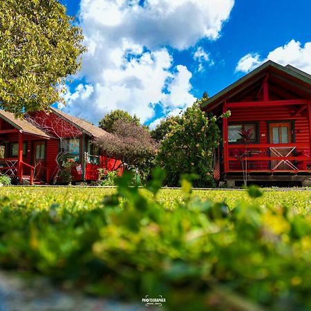 The Wooden Rose Cabins Bezet Exterior photo